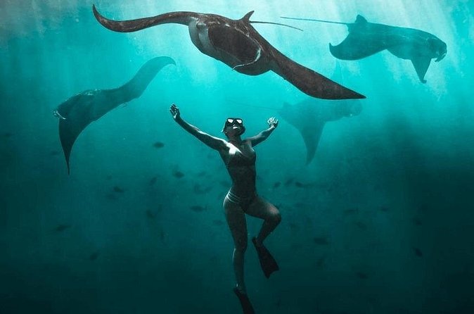 Snorkeling with Manta Rays in Nusa Penida Experience (All-Inclusive) - Price and Value: Is $210.97 a Good Deal?