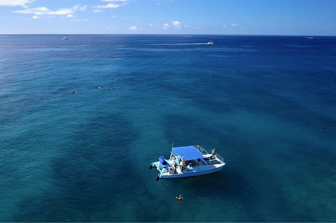 Snorkeling with Sea Turtles in Waikiki Hawaii Boat Tour - Safety and Crew Style: Clear Instructions, Calm Response