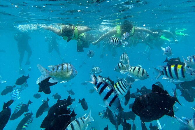 Snorkeling with Sea Turtles in Waikiki Hawaii Boat Tour - Price and Value: Is $125 Worth 2.5 Hours?