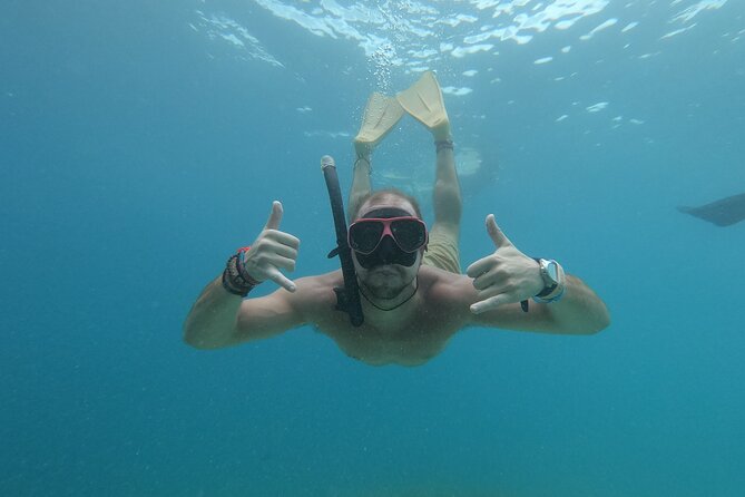 Snorkeling with turtle and statue in Gilis - Turtle-and-statue snorkeling: why this one feels special off Gili Trawangan