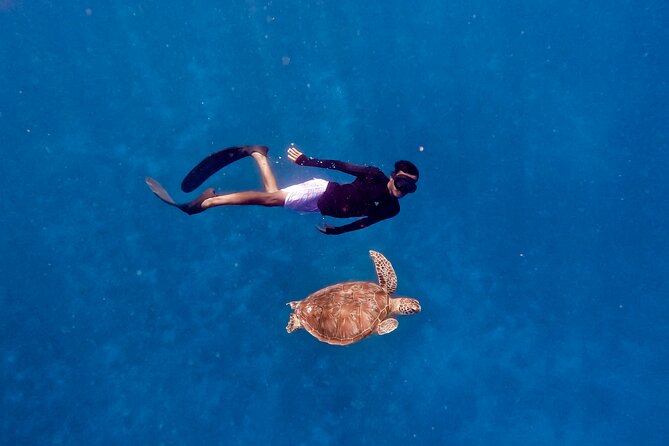 Snorkeling with turtle and statue in Gilis - Getting there on Gili Trawangan: meeting point and time planning