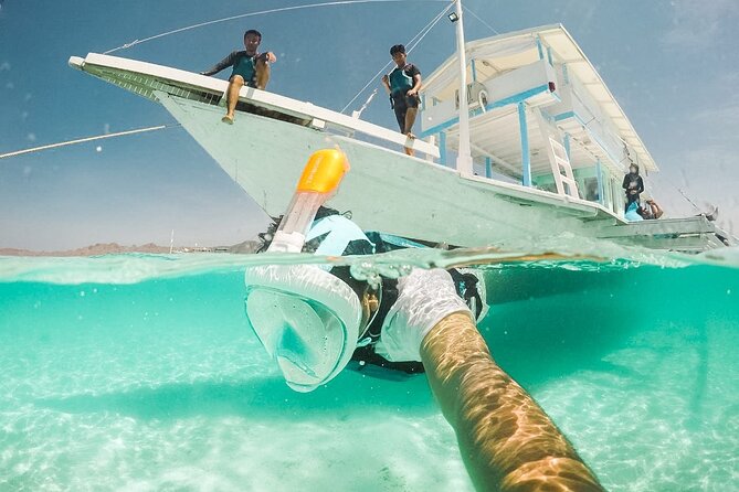 Snorkeling with turtle and statue in Gilis - Turtle spotting: respectful tips for getting the most (without chasing)