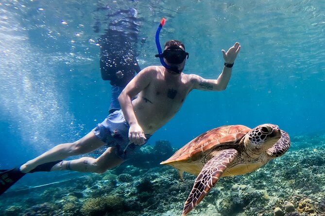 Snorkeling with turtle and statue in Gilis - Glass-bottom boat perks: using it before you snorkel