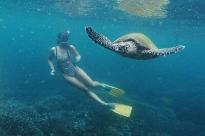 Snorkeling with Turtles in Mirissa - The briefing and gear setup that help first-timers actually feel safe