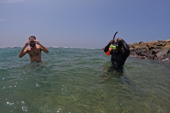 Snorkeling with Turtles in Mirissa - Price and value: $25 for one hour is a bargain if conditions cooperate