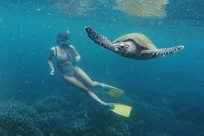 Snorkeling with Turtles in Mirissa - The briefing and gear setup that help first-timers actually feel safe