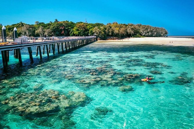 Snorkelling and Glass Bottom Boat at Green Island from Cairns - Key highlights worth targeting
