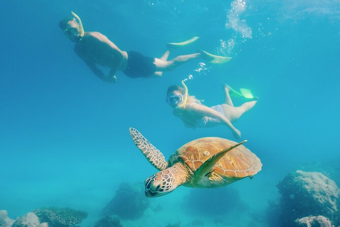 Snorkelling and Glass Bottom Boat at Green Island from Cairns - Who this tour fits best (and who should look at other options)