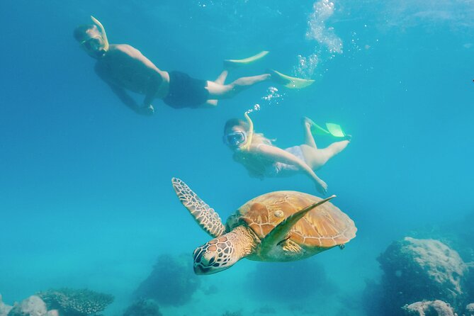 Snorkelling or Glass Bottom Boat at Green Island from Cairns - Entering Green Island from Cairns the fast way