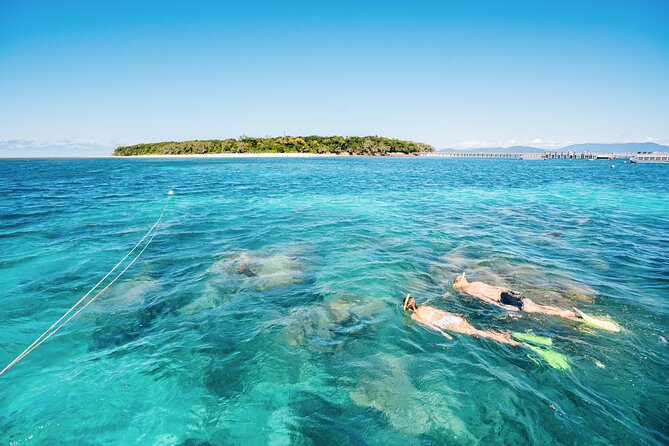 Snorkelling or Glass Bottom Boat at Green Island from Cairns - Stop 2: Great Barrier Reef time and what to expect