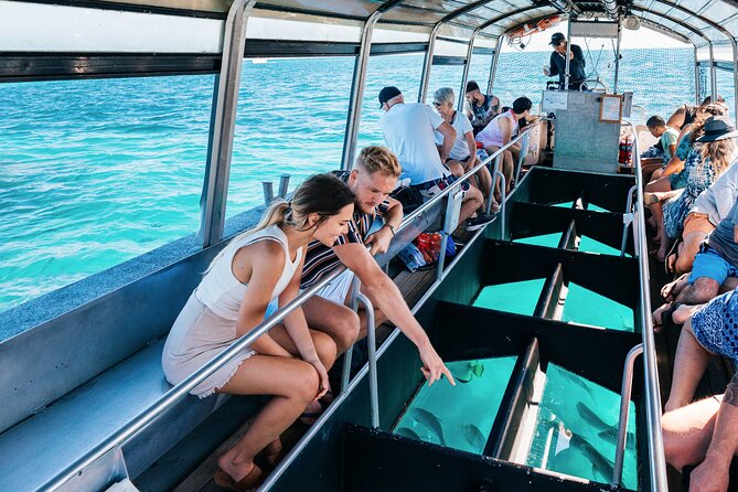 Snorkelling or Glass Bottom Boat at Green Island from Cairns - Stop 1: Green Island National Park and the rainforest walk