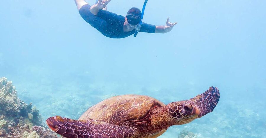 South Maui: Molokini Snorkeling Adventure - Key things that make this snorkel worth your time