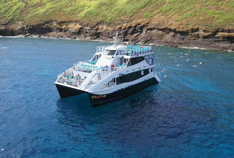 South Maui: Molokini Snorkeling Adventure - The day’s flow: whale chances, timing, and how to plan