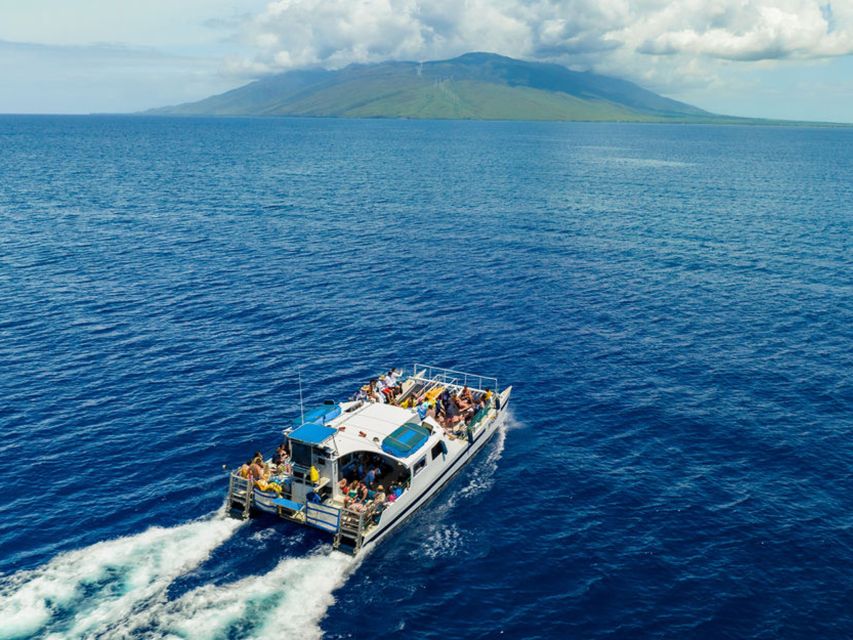 South Maui: Molokini & Turtle Town Snorkeling Tour with Meal - Snorkeling gear, safety, and comfort details that change everything