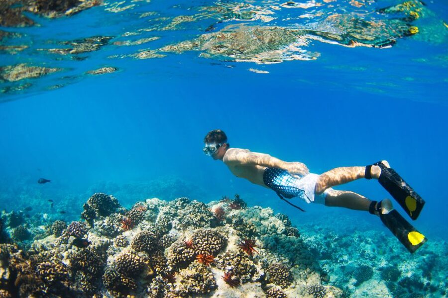 South Maui: Premium Turtle Town Kayak and Snorkel Tour - Makena Bay Turtle Town is the star (and you’ll see why)