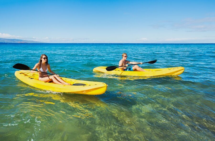 South Maui: Premium Turtle Town Kayak and Snorkel Tour - Price and value: why $151 can make sense here