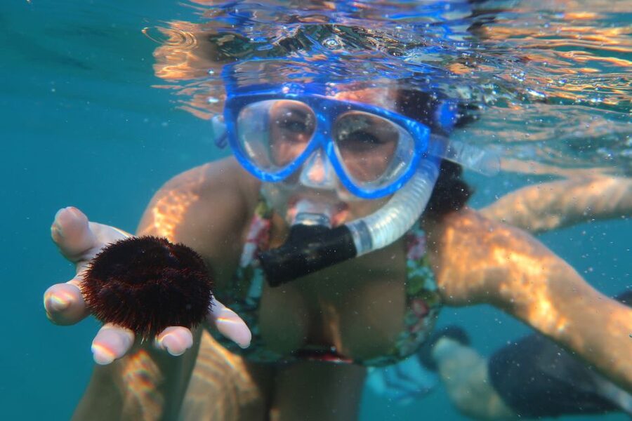 South Maui: Premium Turtle Town Kayak and Snorkel Tour - Meeting point and getting ready at Makena Landing