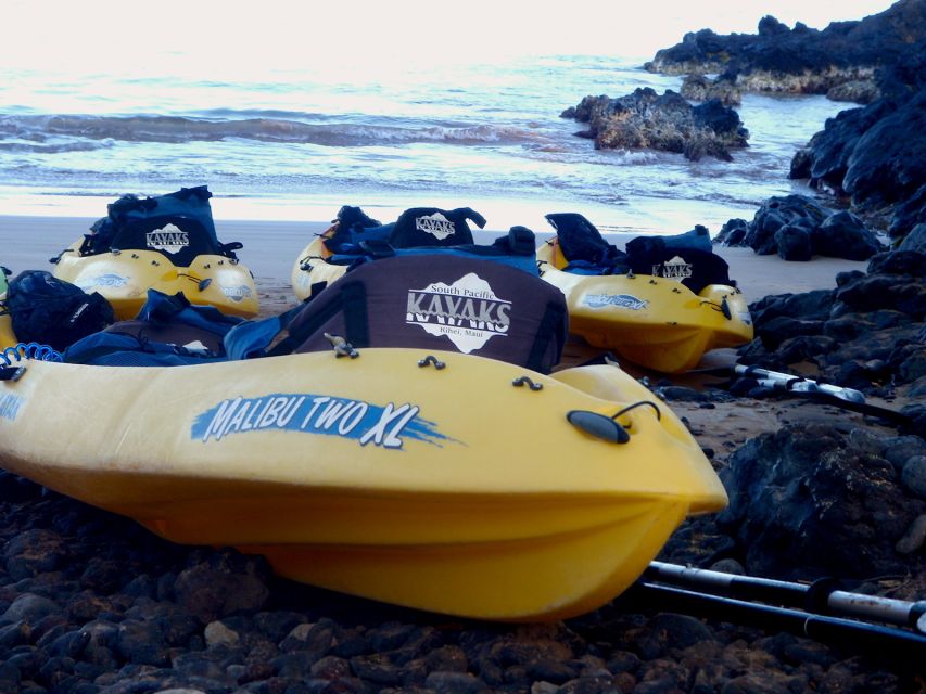 South Maui: Premium Turtle Town Kayak and Snorkel Tour - Who should book—and who should skip this one