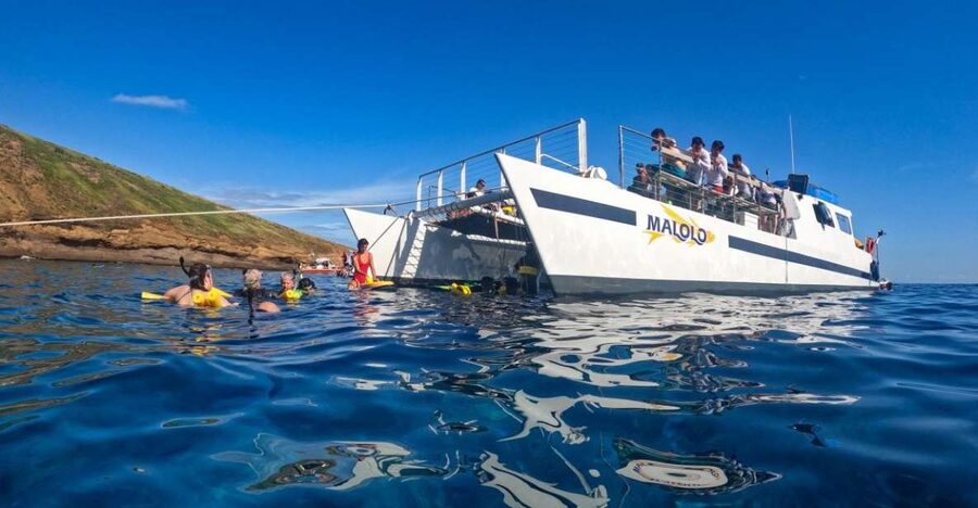 South Maui: Snorkel to Coral Gardens or Molokini Crater - Maalaea Bay: safety briefing, scenery, and whale watching