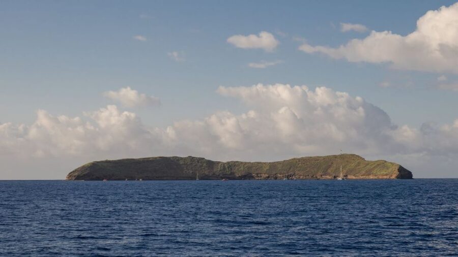 South Maui: Snorkel to Coral Gardens or Molokini Crater - Molokini Crater vs Coral Gardens: what you’ll see in the water