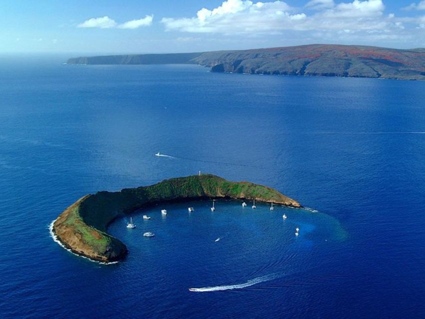 South Maui: Snorkel to Coral Gardens or Molokini Crater - Value on $89: what you’re really paying for