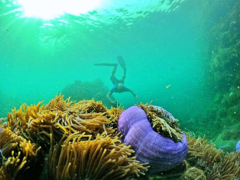 South Phu Quoc: Pro Snorkeling Tour by Speedboat - Who This Tour Fits Best (And Who Should Skip It)