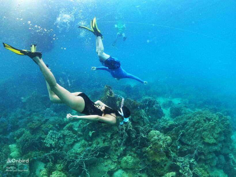 South Phu Quoc: Pro Snorkeling Tour by Speedboat - South Phu Quoc Speedboat Snorkeling (6 Hours): Is It Worth $51?