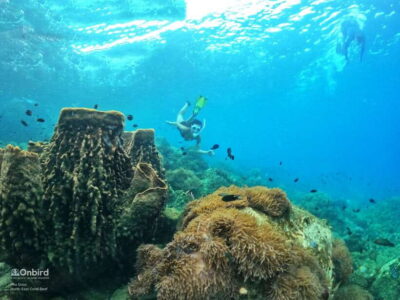 South Phu Quoc: Pro Snorkeling Tour by Speedboat - The Small-Group Advantage: What a 10-Person Tour Changes