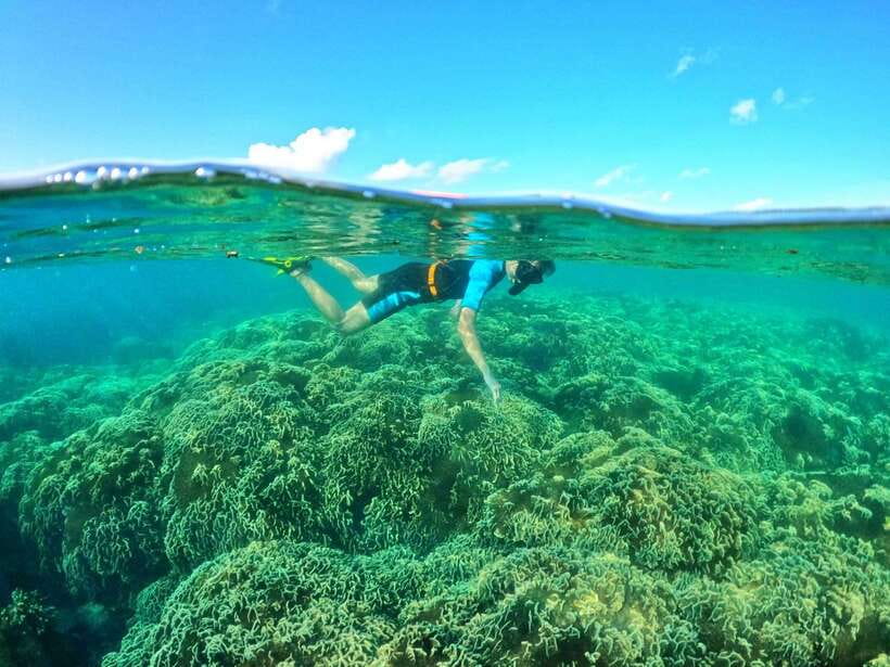 South Phu Quoc: Pro Snorkeling Tour by Speedboat - Hidden Coral Sites and Timing: How They Avoid the Usual Crowds
