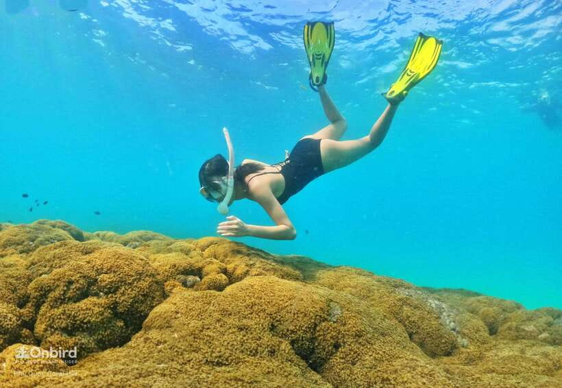 South Phu Quoc: Pro Snorkeling Tour by Speedboat - Equipment and Coaching: Anti-Fog Comfort and Underwater Instructors