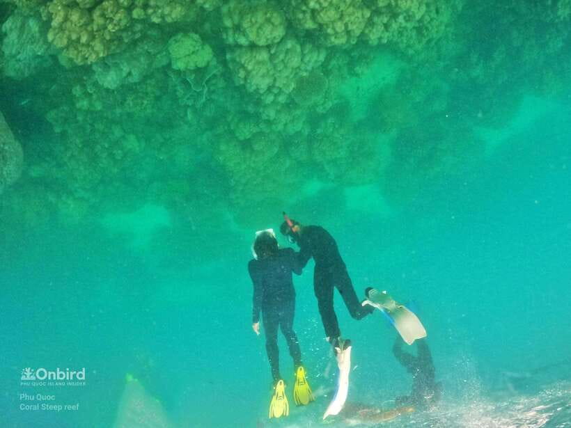 South Phu Quoc: Pro Snorkeling Tour by Speedboat - What You’ll See Underwater (And What to Expect If Conditions Vary)