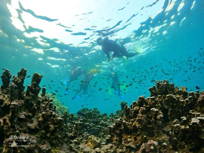 South Phu Quoc: Pro Snorkeling Tour by Speedboat - Pickup Areas and Transfer Costs: Don’t Let Logistics Surprise You