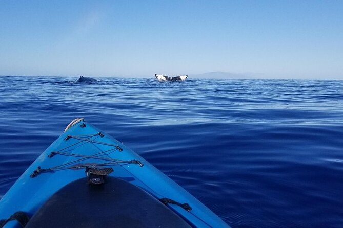 South Shore Turtle Kayak and Snorkel Experience - What each part feels like: Makena Beach to turtle time