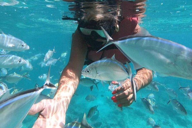 Speed Boat and Snorkeling in Punta Cana Bavaro - What If You Don’t Want to Be the Brave One in the Water?
