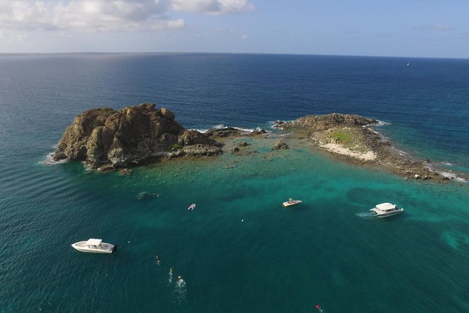 Speed Boat & Snorkeling Tour Pinel & Tintamarre Islands for CRUISE SHIP GUESTS - La Samanna / Long Bay and feeding fish from the beach