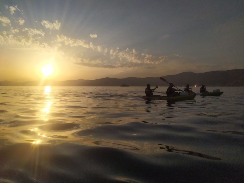 Split: Guided Sunset Sea Kayaking & Snorkeling Tour - The snorkel and swim stop: fish spotting and the rocky reality