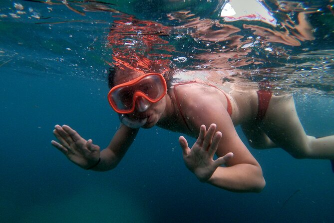 Split Sea Kayaking & Snorkeling Tour - Price and value: what you’re really paying for at $60.49