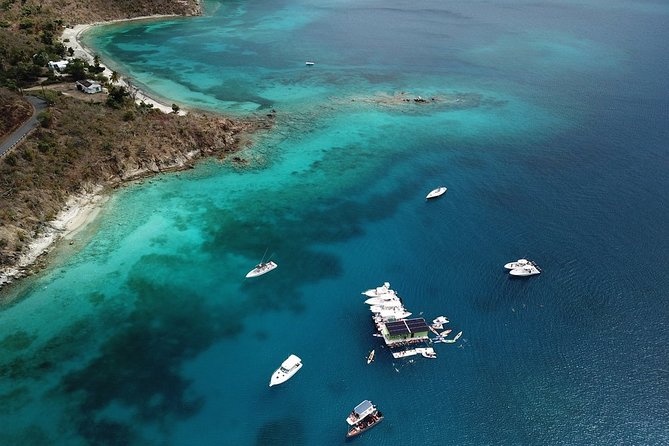 St. John Full-Day Lime Out Snorkel Taco Lunch & Open Bar - Westin - Lime Out Floating Taco Bar: The Lunch That Changes the Mood