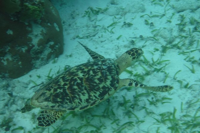 St John & Surrounding Cays - Full-Day Sail/Snorkel, 6 Guests Max - A Typical Sea Day to St John National Park (and Why It’s Flexible)