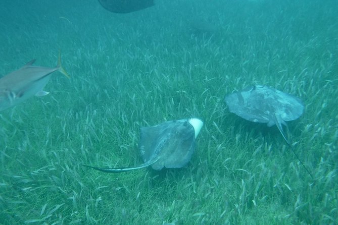 St John & Surrounding Cays - Full-Day Sail/Snorkel, 6 Guests Max - Snorkeling Stops You Might Hit: Reefs Known for Turtles and Stingrays