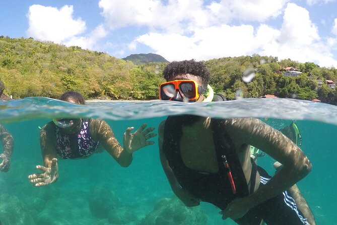 St Lucia Snorkeling Tour with Lunch - Key highlights that make this tour worth a look
