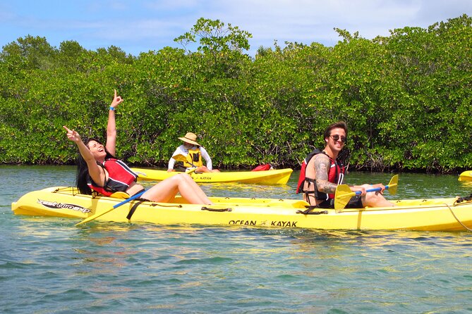 St Thomas Mangrove Lagoon Kayak and Snorkel Tour in the US Virgin Islands - Why the Mangrove Lagoon feels different from typical St Thomas snorkeling