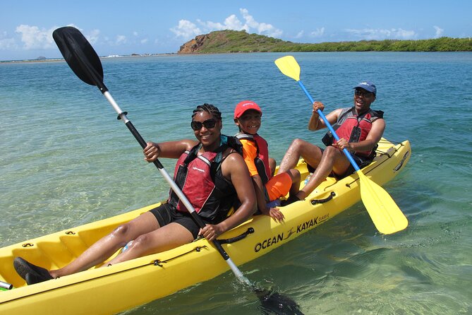 St Thomas Mangrove Lagoon Kayak and Snorkel Tour in the US Virgin Islands - Snorkeling among coral-fringed mangrove roots: what to watch for