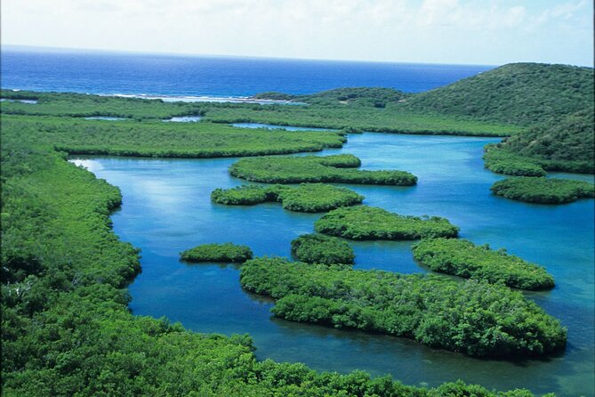 St Thomas Mangrove Lagoon Kayak and Snorkel Tour in the US Virgin Islands - Cas Cay hike: how the deserted island option changes the day