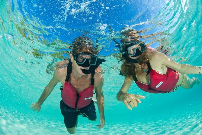 St Thomas Mangrove Lagoon Kayak and Snorkel Tour in the US Virgin Islands - How long is it really, and how should you pace your trip?