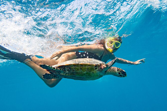 St Thomas Mangrove Lagoon Kayak and Snorkel Tour in the US Virgin Islands - Price and value: is $89 worth it for 2.5 hours?