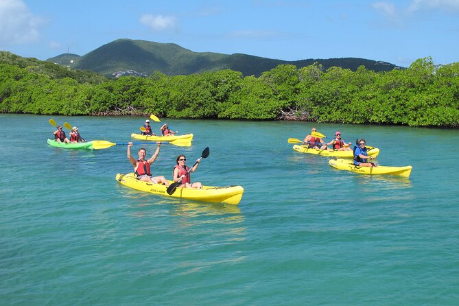 St Thomas Shore Excursion: Mangrove Lagoon Kayak and Snorkel Tour - Key things that make this tour worth your time