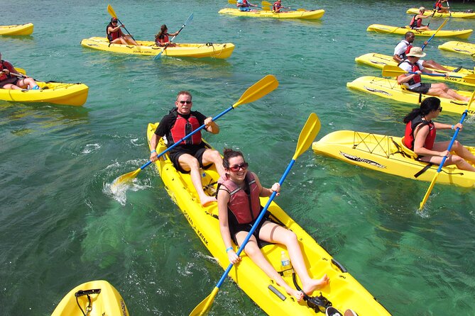 St Thomas Shore Excursion: Mangrove Lagoon Kayak and Snorkel Tour - Cruz Bay to the Mangrove Lagoon: logistics that actually matter
