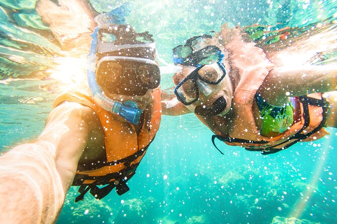 St Thomas Shore Excursion: Mangrove Lagoon Kayak and Snorkel Tour - Snorkeling around mangrove roots: the best part for reef time