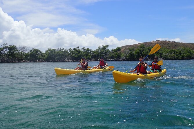 St Thomas Shore Excursion: Mangrove Lagoon Kayak and Snorkel Tour - Comfort and prep: what to bring so the day feels easy